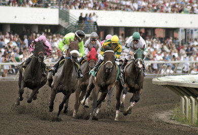 canterbury park racing canterbury park racing