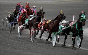 Jockeys going for the win at Plainridge Racecourse